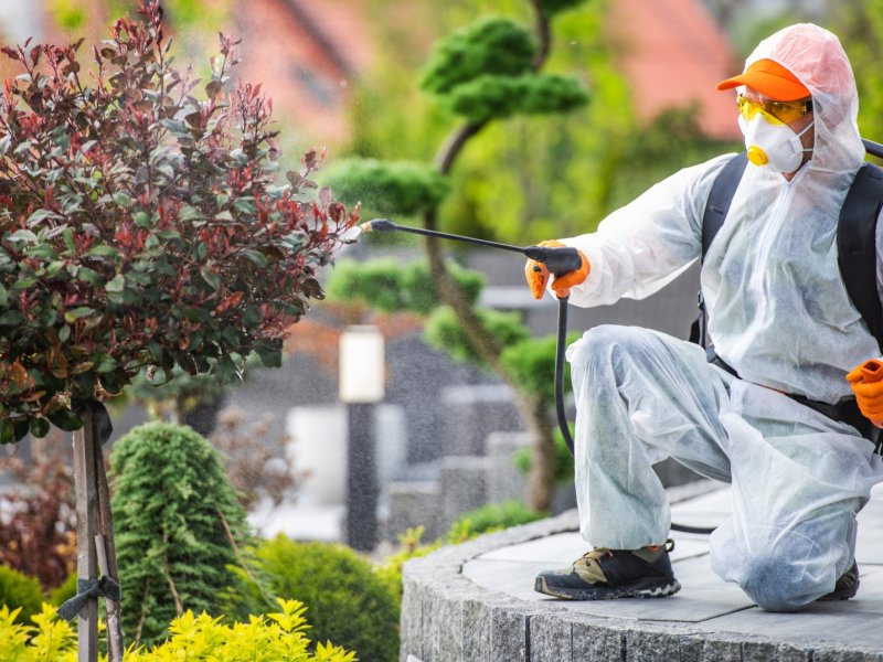 Selçuk Haşere İlaçlama