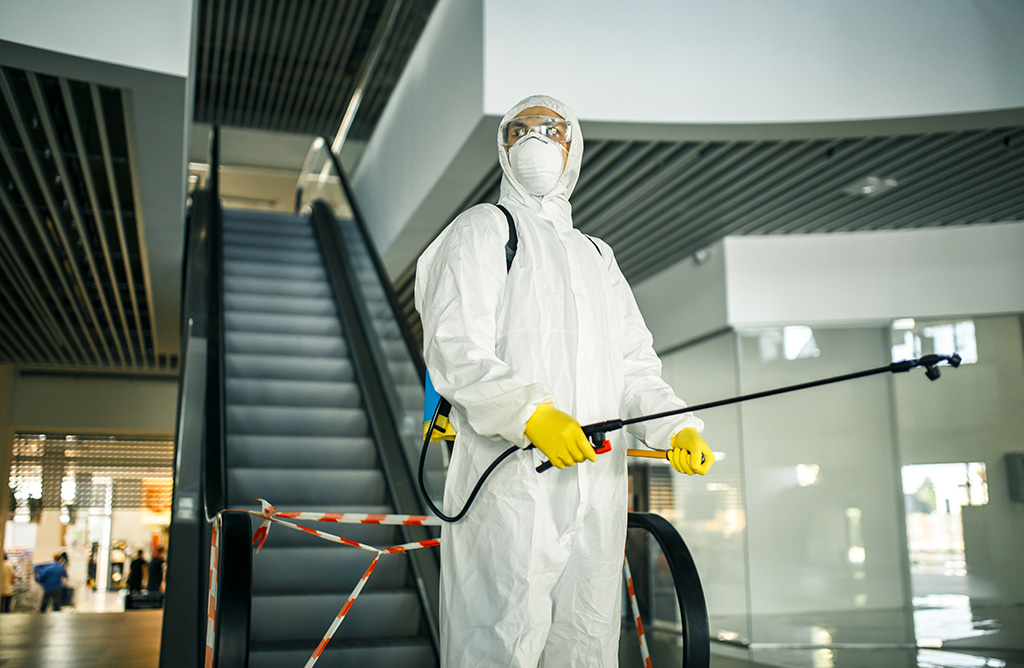 Selçuk Haşere İlaçlama